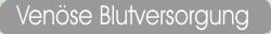 Ven�se Blutversorgung