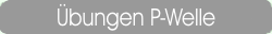 &Uuml;bungen P-Welle